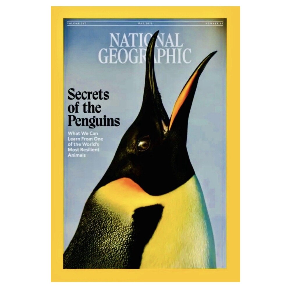 SECRETS OF THE PENGUINS NATIONAL GEOGRAPHIC MAGAZINE MAY 2025